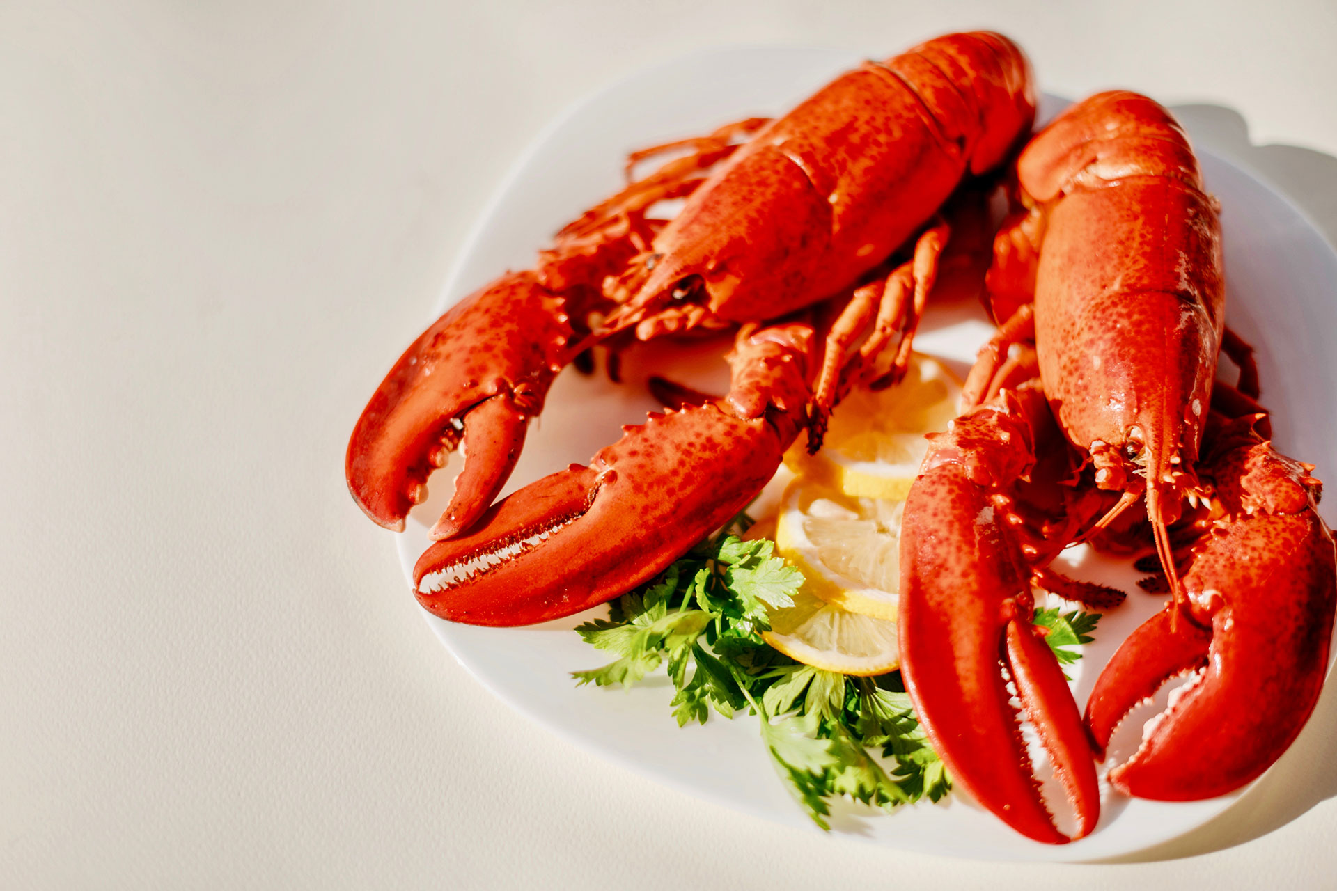 HOW TO COOK SEAFOOD CORRECTLY